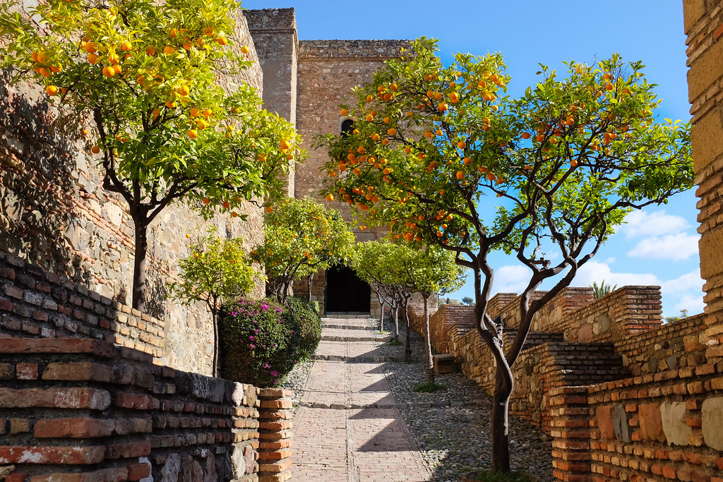 Andaluzijski trio - Alcazaba Malaga Spain